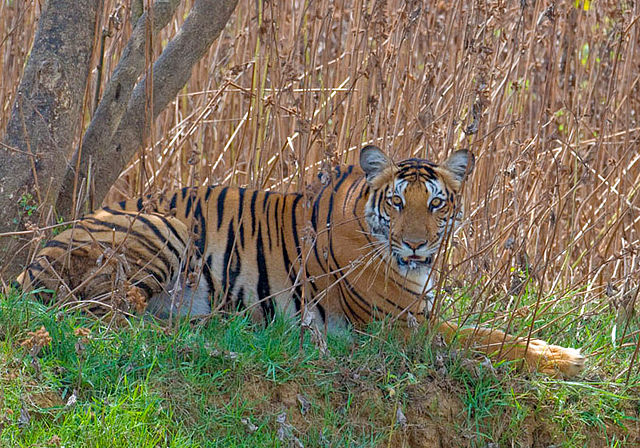 nagarhole nationa park